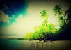 add a vignette effect and increase vibrance, contrast, and sharpness, on up to 5 of your images/pictures small1