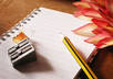 write a 500 word letter to anyone about anything