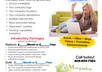 Flyer designers