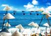 answer 5 questions about VietNam for you