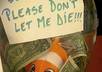 graciously accept a tip for my services small1