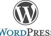 install WordPress on your site + 30min support