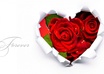 put your flower, florist, floral, Wedding, Funeral Advertisement on my site as Featured, 11,000 vistors per mo