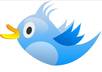 tweet any ads, picture, promotional links or anything on my social networks 9000 t witter followers