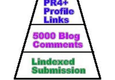 make backlinks pyramid of over 300 PR4+ tier1 social media, profile links and 5000 blog comments tier2 links and lindexed ping submissiosn big1