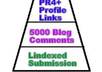make backlinks pyramid of over 300 PR4+ tier1 social media, profile links and 5000 blog comments tier2 links and lindexed ping submissiosn small1