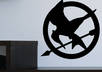 send you two Hunger pin vinyl decals
