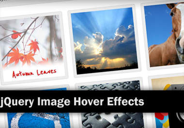 create a fancy image gallery to showcase your products big1