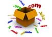 register 1 domain for 1 year com , org , net