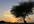 advertise your banner on my travel blog website