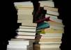 promote your book on my website