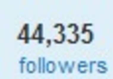 promote your message on Twitter to 46k Trader targeted followers and 70k more big1