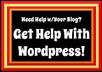 provide help for Wordpress websites