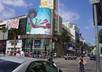 hand out 50 of your advertisments on Hollywood Boulevard