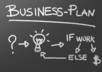 consult you on your business plan