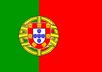 teach you portuguese