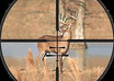 give you a beginners guide to mastering the art of HUNTING