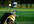 create a backlink to your site on my popular Golf / Golfer fan homepage