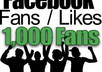 give you a 2000 points coupon code  to get 1000 facebook likes or more small1