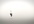 reveal your LOGO and tagline inserting one more ending text in this cool video