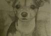 draw a portrait of your pet small1