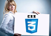 repair any CSS issue on your website