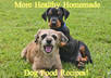give you Healthy HOMEMADE Meals and Treats for Your Dog small1