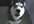 make my dog howl your message on a video testimonial