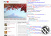 customize or fix your WordPress based website