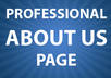 Website copy