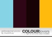 create a color scheme