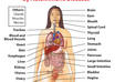 help with herbal treatment of any disease