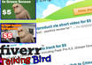 use a speaking bird to say anything you want small1
