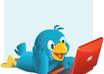 provide you 500 real twitter followers only small1