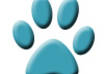 put your pet business ad on my website small1