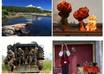 Photos and design