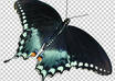 remove the background from 2 photos small1