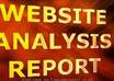 analyze your website and give you the complete report of your website small1