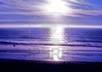 answer one PSYCHIC question on Love, Relationships, Career, Money, and more in detail plus 3 yes or no, as a well known Psychic Medium