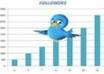 supply additional twitter followers to your account small1