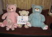 express your love/sorry messages or promotional messages to your loved ones with teddy bears