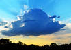 give you 5 amazing Twitter backgrounds small1