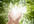 provide customized distant healing