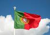 give you a 1 hour Lesson of Portuguese via Skype small1