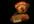 draw your logo and write your message on a piece of paper and take pictures of teddy bears holding it