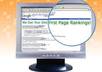 make Your Website/Blog On Page Fully Optimized for SEO by Conducting Keyword Research, Setting Up Meta Tags, etc and Off Page link Blueprint