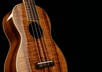 sing you a song with my Ukulele small1