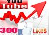 give you 300 REAL youtube likes in 1 day