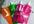 send you 480ML Portable and Folding Water Bag Bladder 1pcs