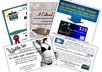 Flyerad